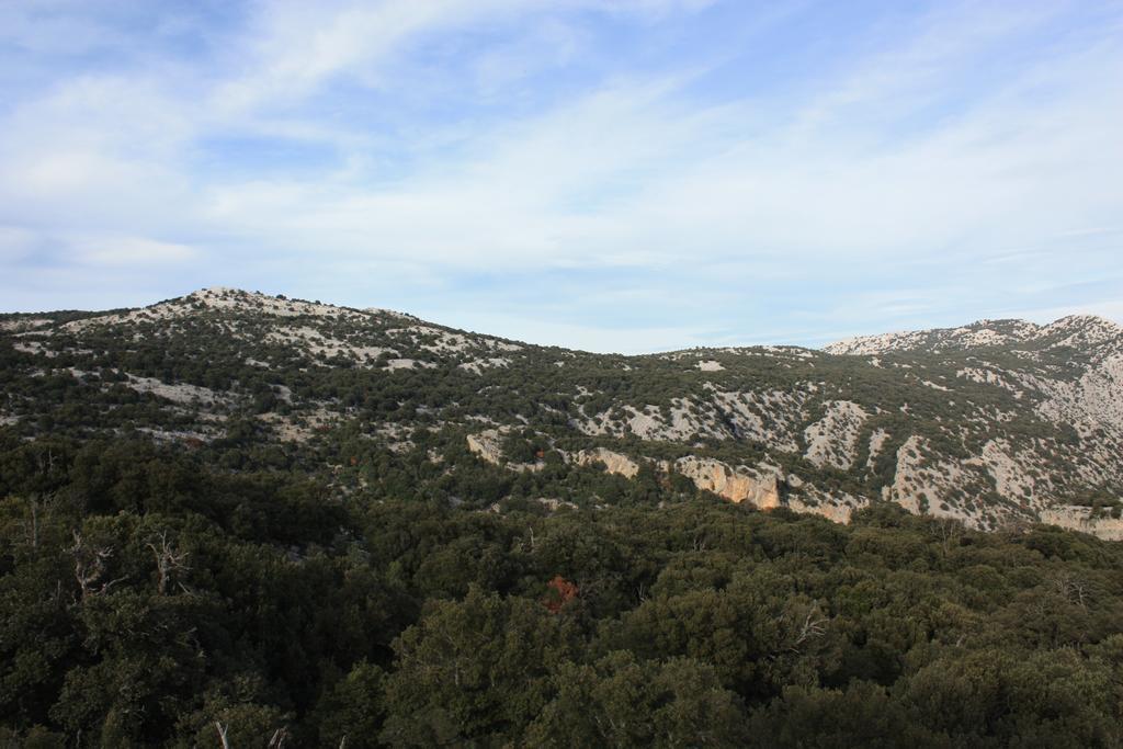 B&B Supramonte Orgosolo Luaran gambar